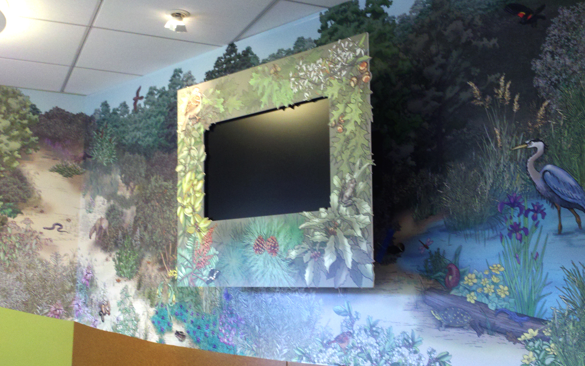 Wall graphics and hidden monitor at Pine Bush Discovery Center